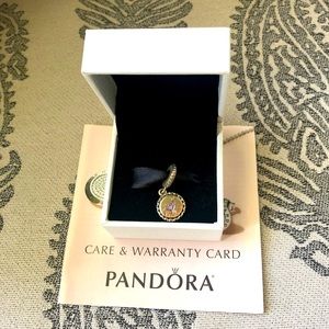 Disney Parks Pandora Charm